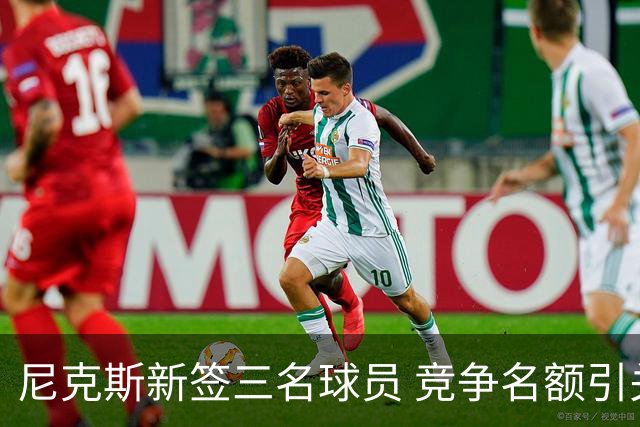 尼克斯新签三名球员 竞争名额引关注