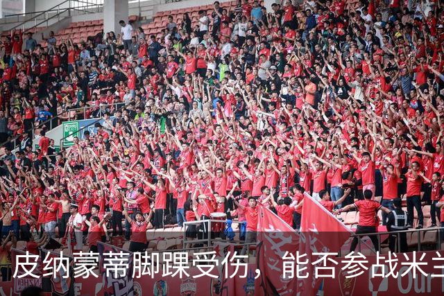 皮纳蒙蒂脚踝受伤，能否参战米兰待定